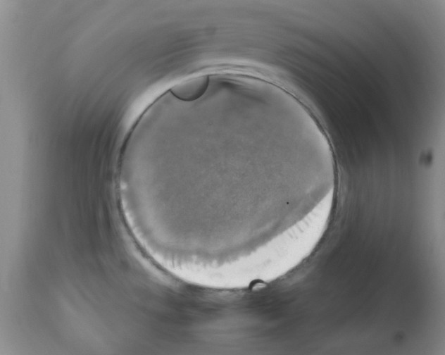 X0000113221533200910221114