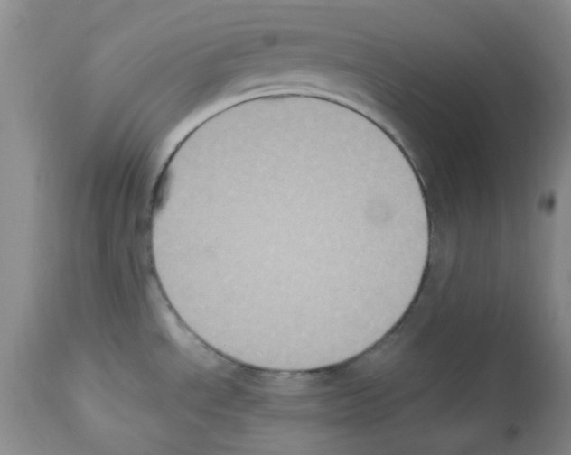 X0000113221534200910221114