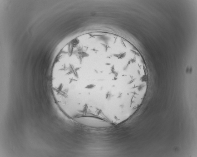 X0000113221536200910221114