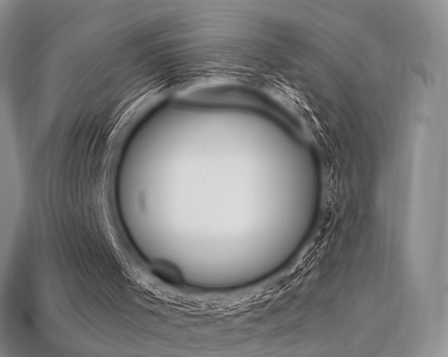 X0000113230001200909100952