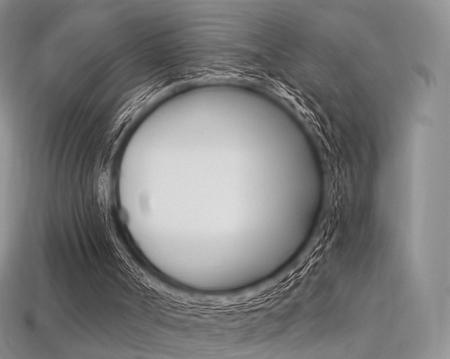 X0000113230002200909100952