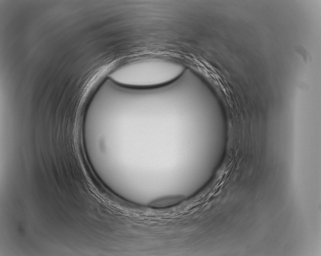 X0000113230003200909100952