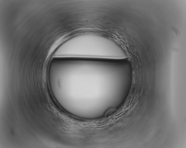 X0000113230004200909100952