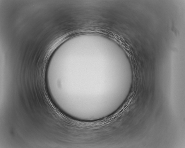 X0000113230005200909100952