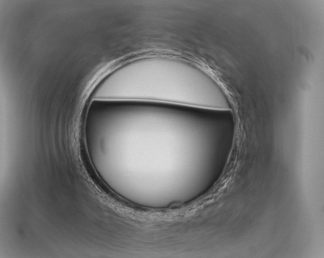X0000113230007200909100952