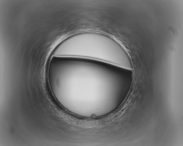 X0000113230008200909100952