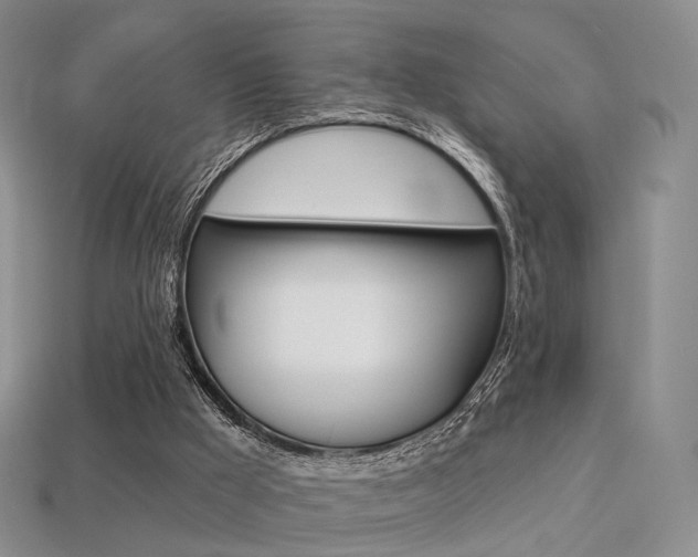 X0000113230009200909100952