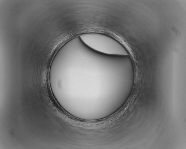 X0000113230010200909100952
