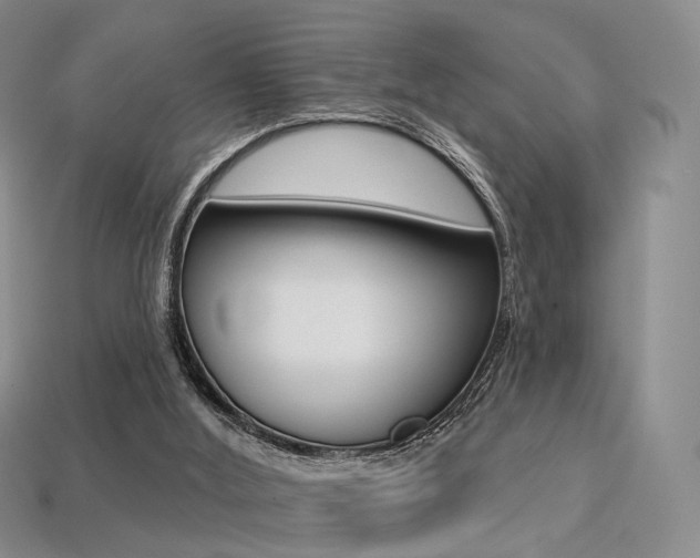 X0000113230012200909100952