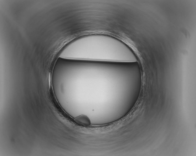 X0000113230013200909100952
