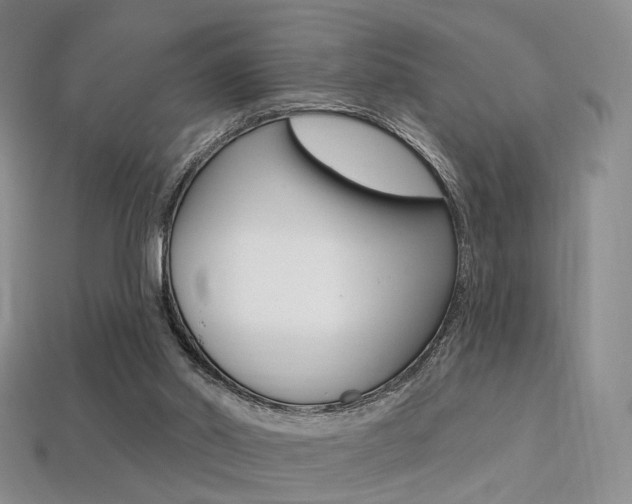 X0000113230014200909100952