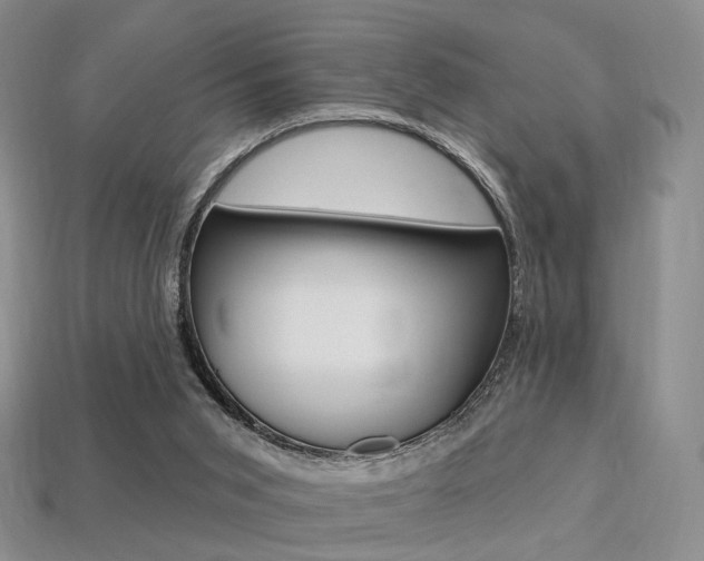 X0000113230015200909100952