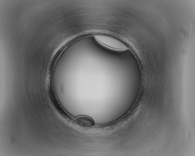 X0000113230016200909100952