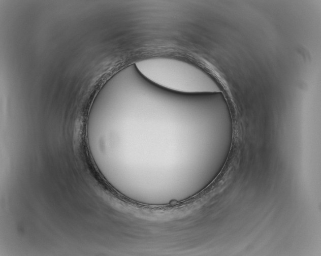 X0000113230018200909100952