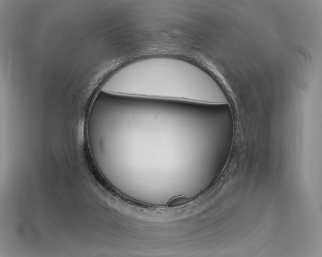 X0000113230019200909100952