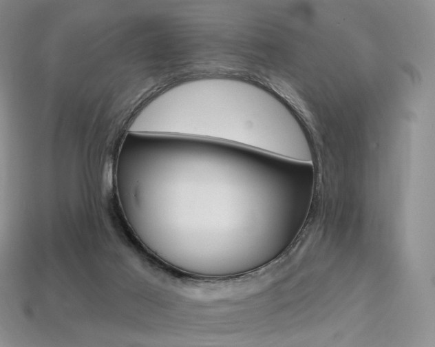 X0000113230021200909100952