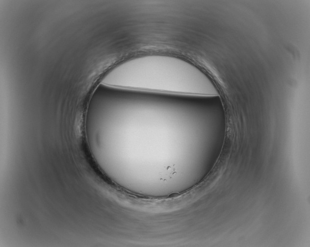 X0000113230023200909100952