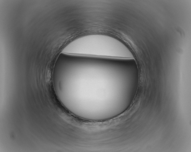X0000113230025200909100952