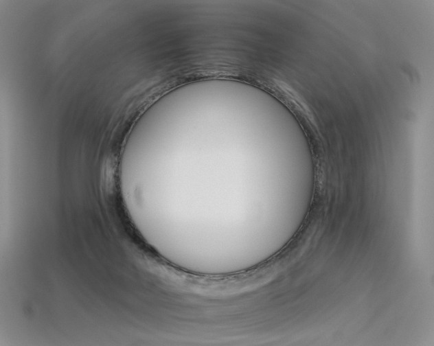 X0000113230026200909100952