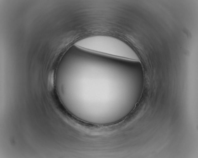 X0000113230028200909100952