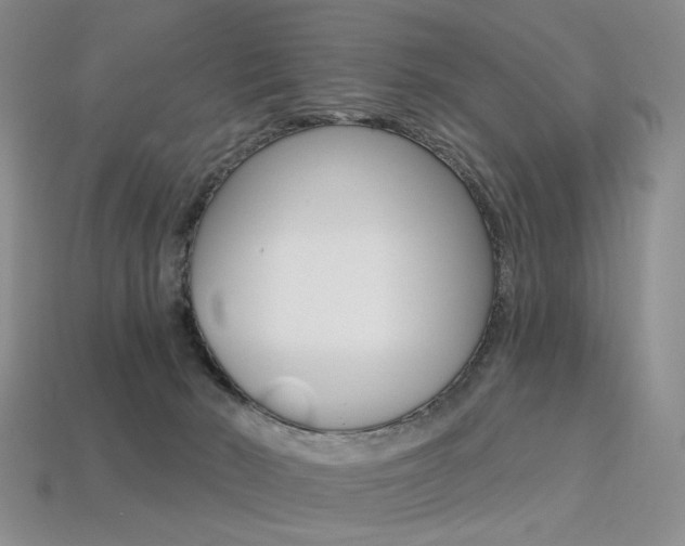 X0000113230030200909100952