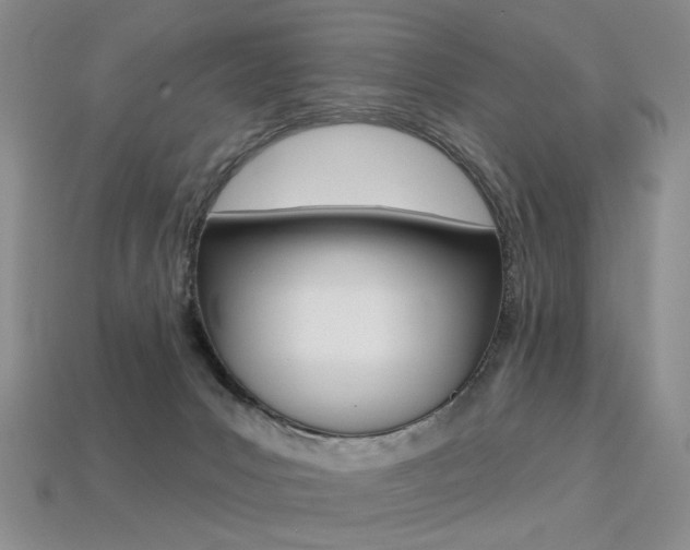 X0000113230031200909100952