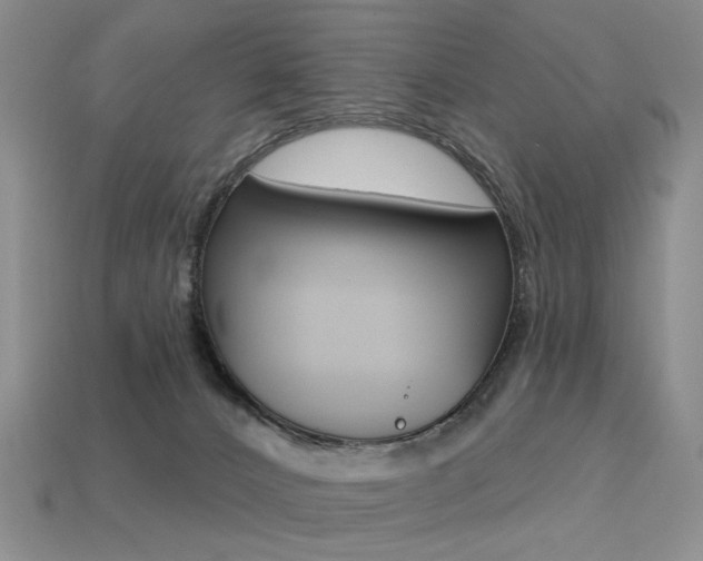 X0000113230032200909100952