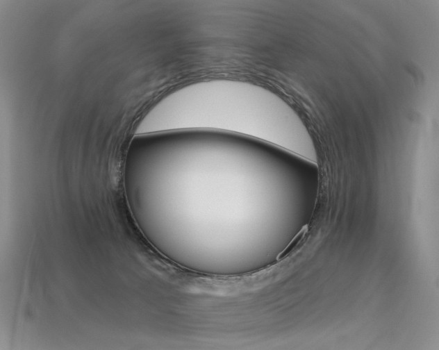 X0000113230033200909100952