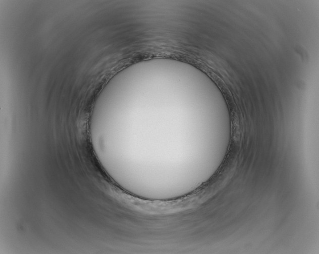 X0000113230034200909100952