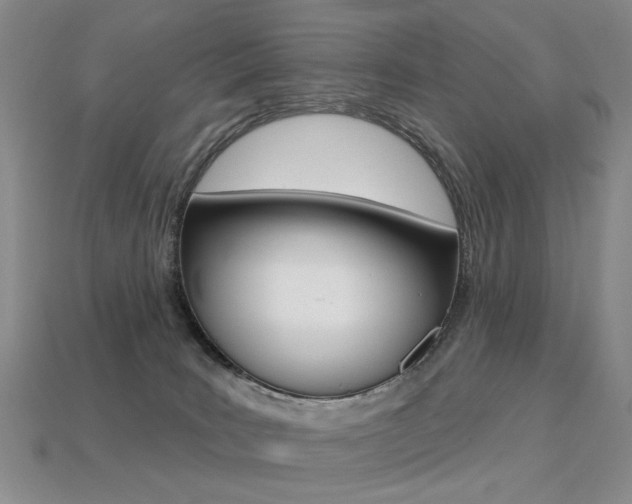 X0000113230035200909100952