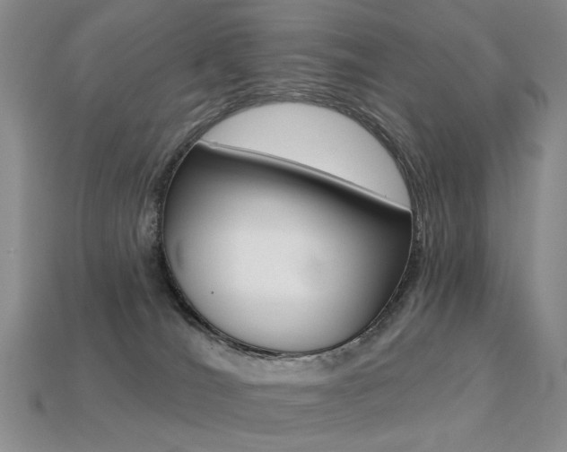 X0000113230036200909100952