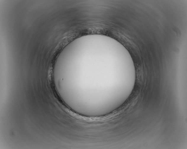 X0000113230038200909100952