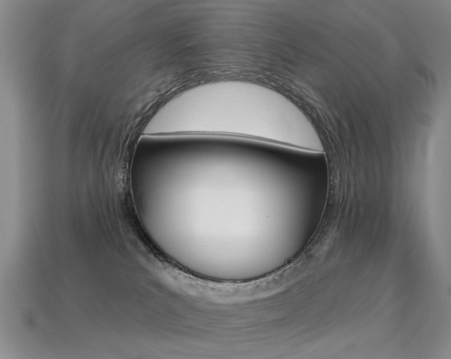 X0000113230039200909100952