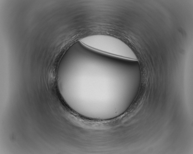 X0000113230040200909100952