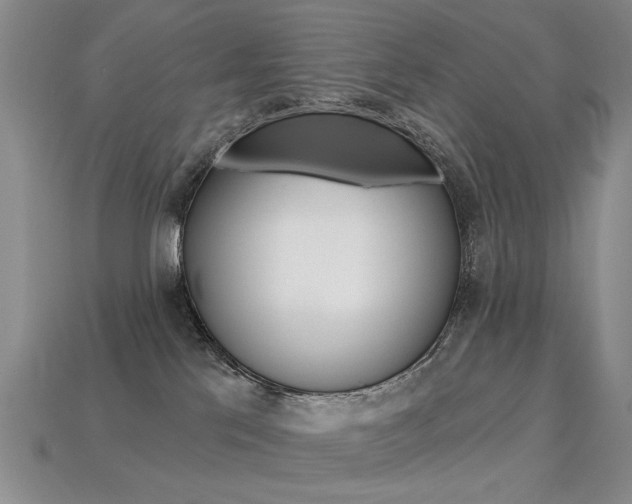 X0000113230041200909100952