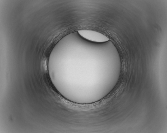 X0000113230042200909100952