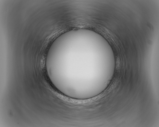 X0000113230043200909100952