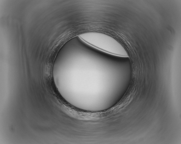 X0000113230044200909100952