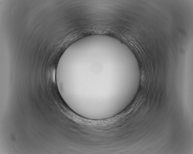 X0000113230046200909100952