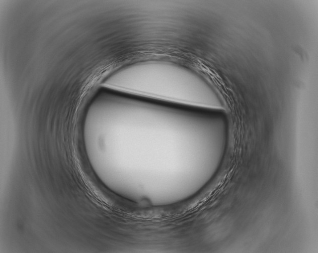 X0000113230049200909100951