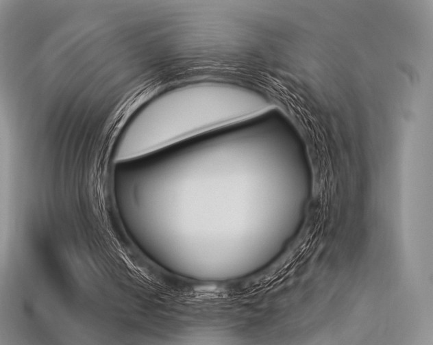 X0000113230050200909100951