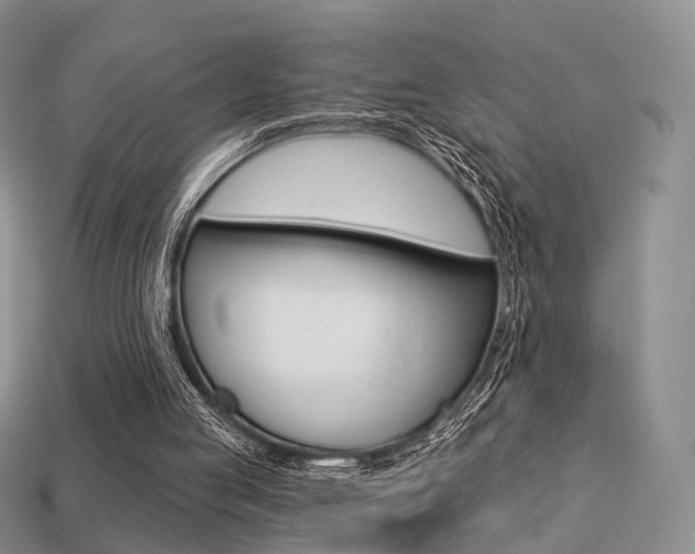X0000113230053200909100951