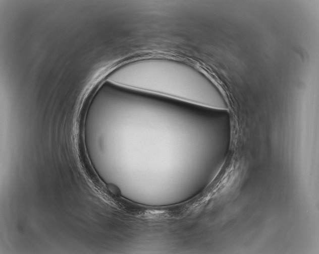 X0000113230055200909100951