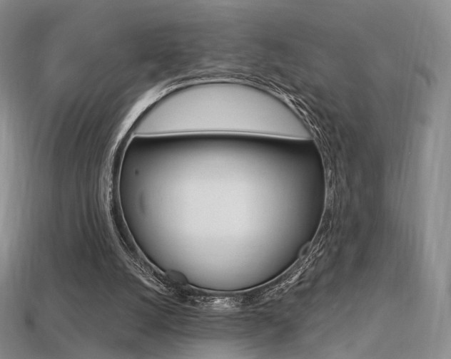 X0000113230056200909100951