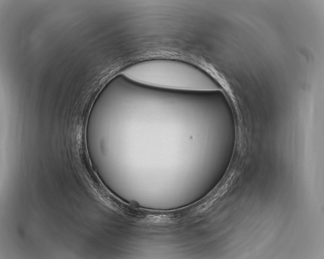 X0000113230057200909100951