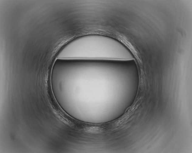 X0000113230058200909100951