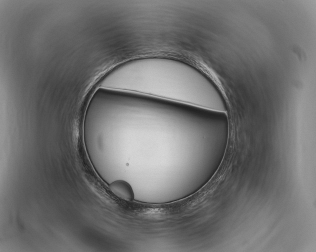 X0000113230059200909100951