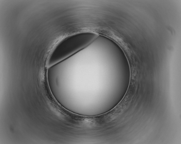X0000113230060200909100951
