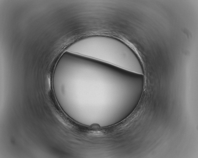 X0000113230061200909100951