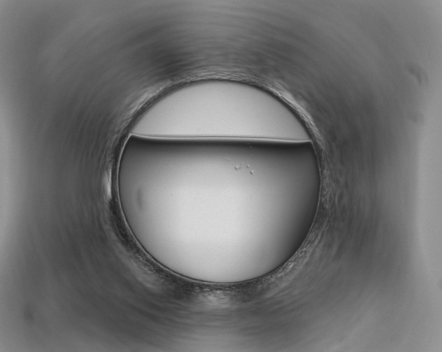 X0000113230062200909100951